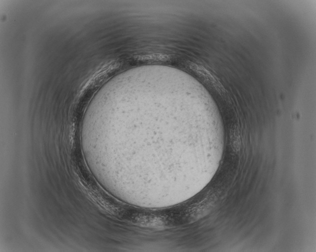 X0000085010735200703261154