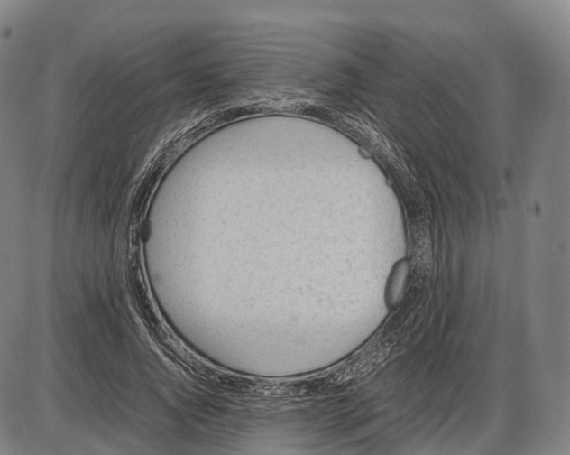 X0000085010736200703261154