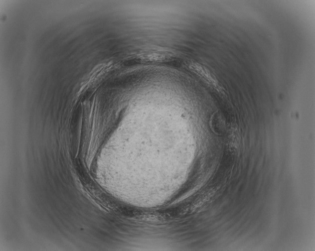 X0000085010738200703261154