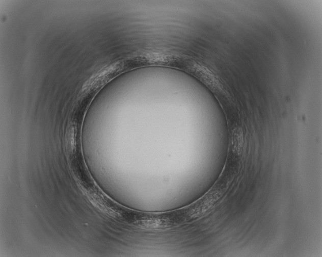 X0000085010740200703261154