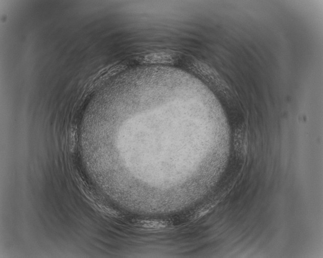 X0000085010741200703261154