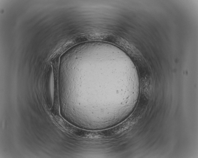 X0000085010742200703261154