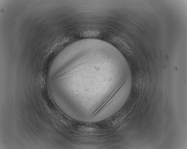 X0000085010743200703261154