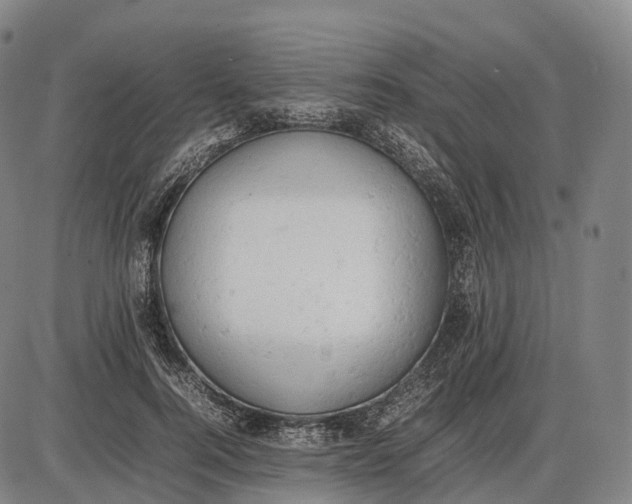 X0000085010744200703261154