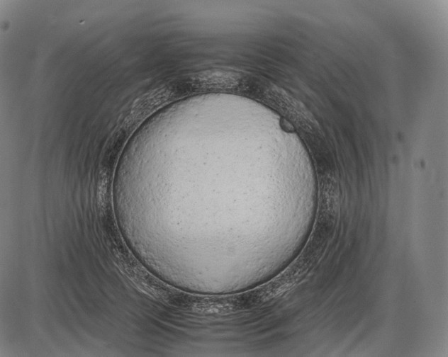 X0000085010745200703261154