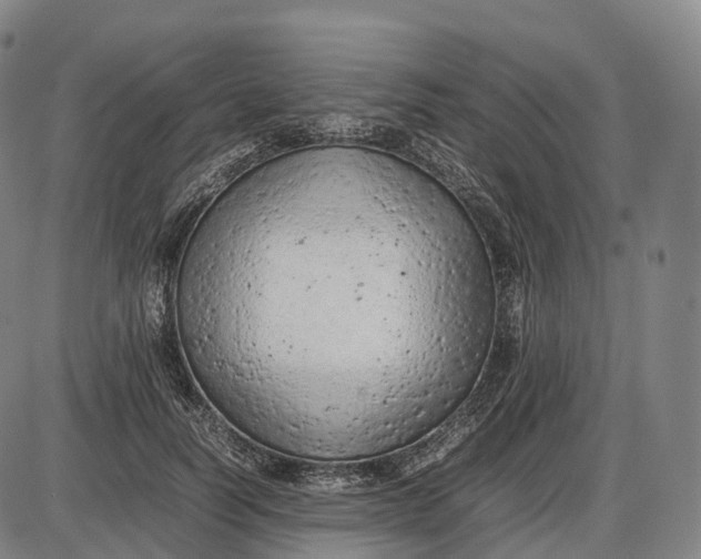 X0000085010746200703261154