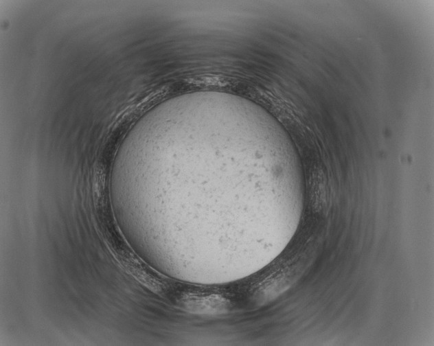 X0000085010747200703261154