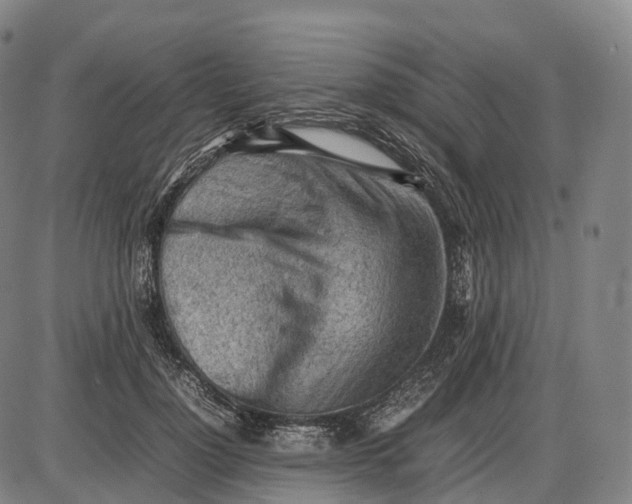 X0000085010748200703261154