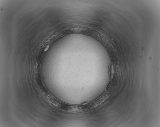 X0000085010750200703261154