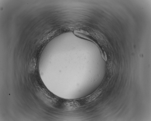 X0000085010752200703261154