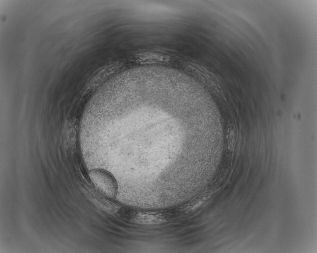 X0000085010753200703261154