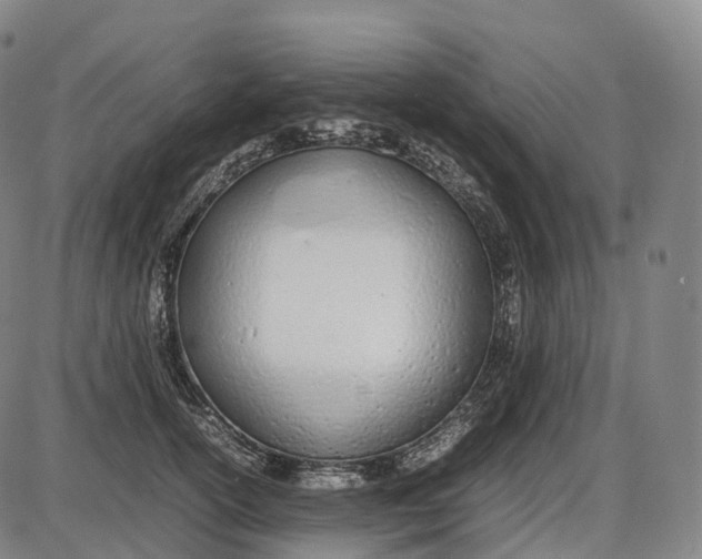 X0000085010754200703261154