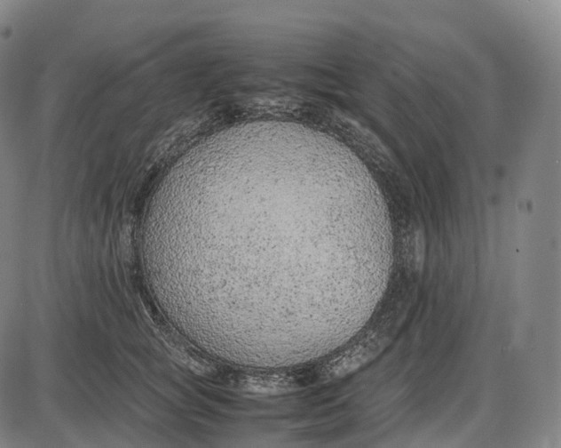 X0000085010757200703261154