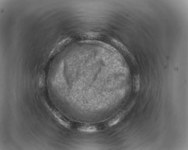 X0000085010760200703261154