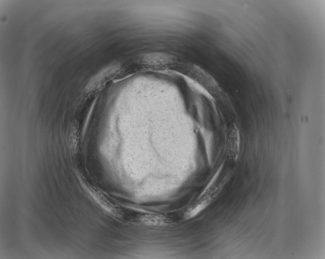 X0000085010762200703261154