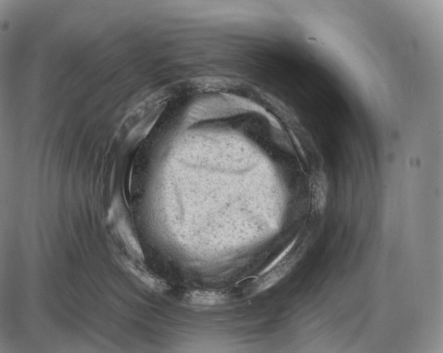 X0000085010766200703261155