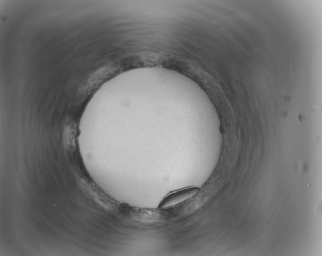 X0000085010768200703261155