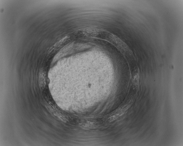 X0000085010772200703261154