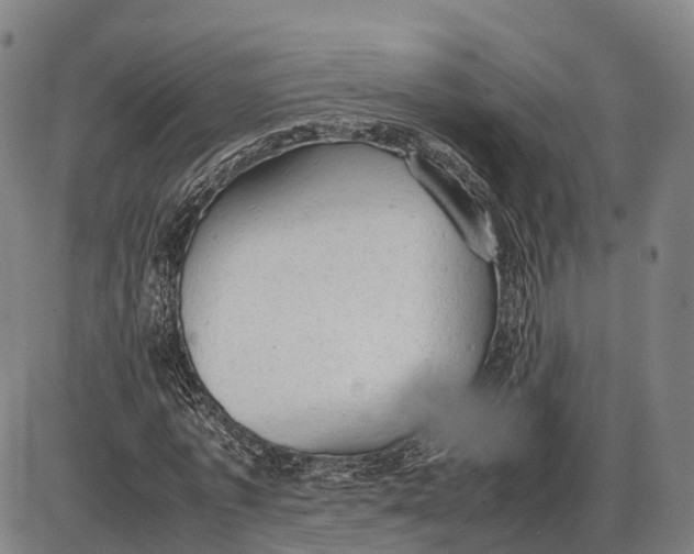 X0000085010773200703261154