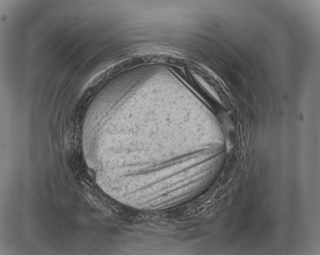 X0000085010775200703261154