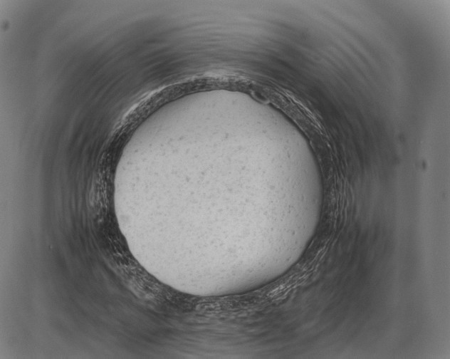 X0000085010776200703261154