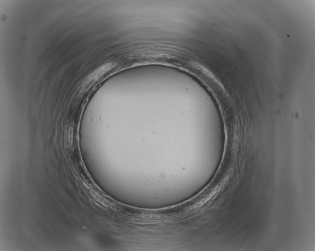 X0000085010777200703261154