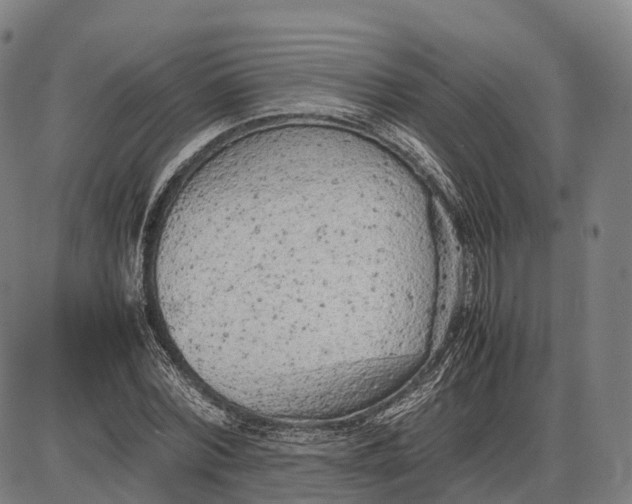 X0000085010780200703261154