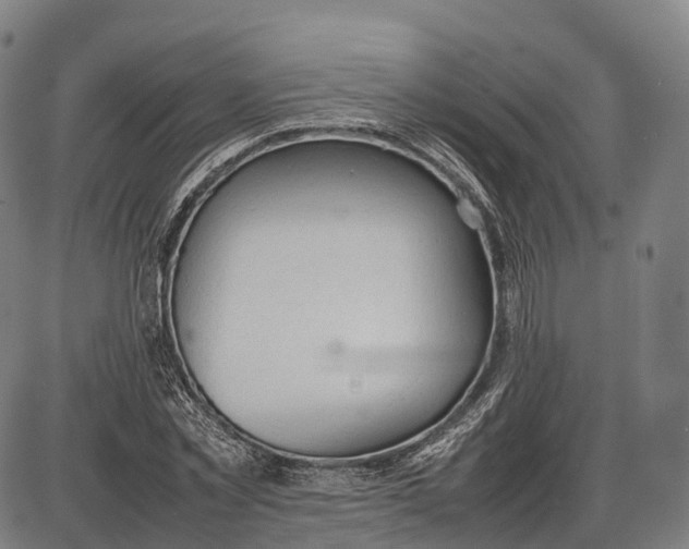 X0000085010781200703261154