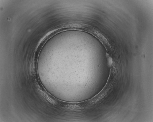 X0000085010784200703261153