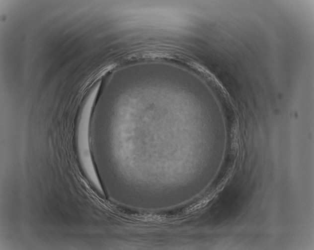 X0000085010785200703261153