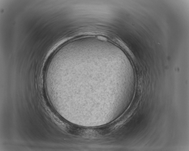 X0000085010787200703261153