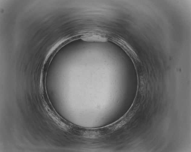 X0000085010788200703261153