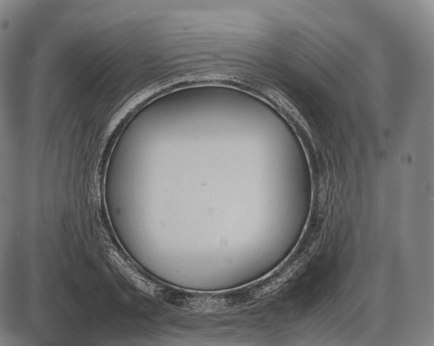 X0000085010789200703261153