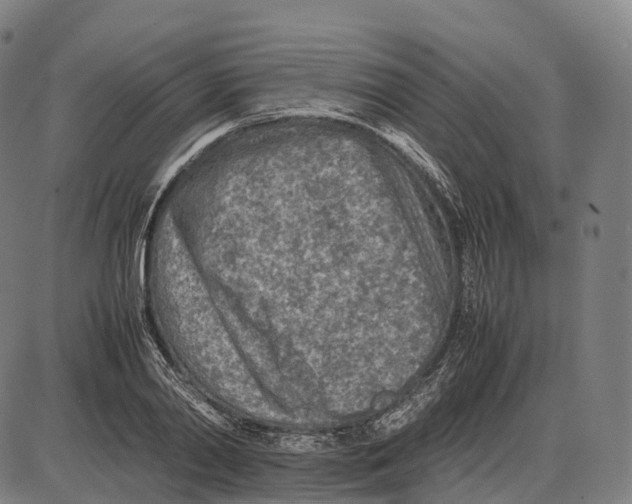 X0000085010790200703261153