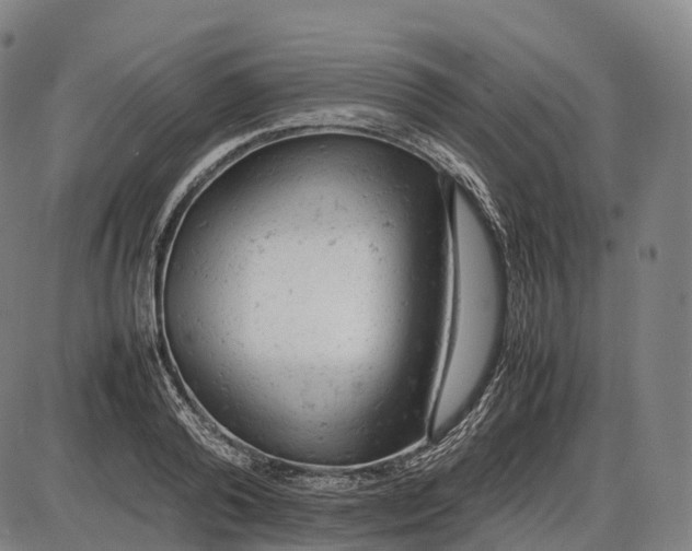 X0000085010792200703261153