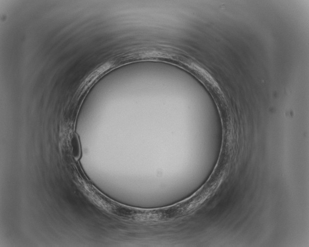 X0000085010793200703261153