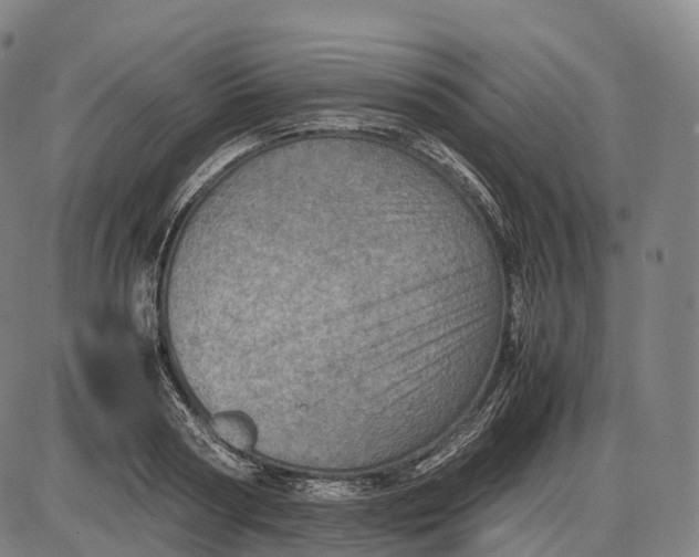 X0000085010794200703261153