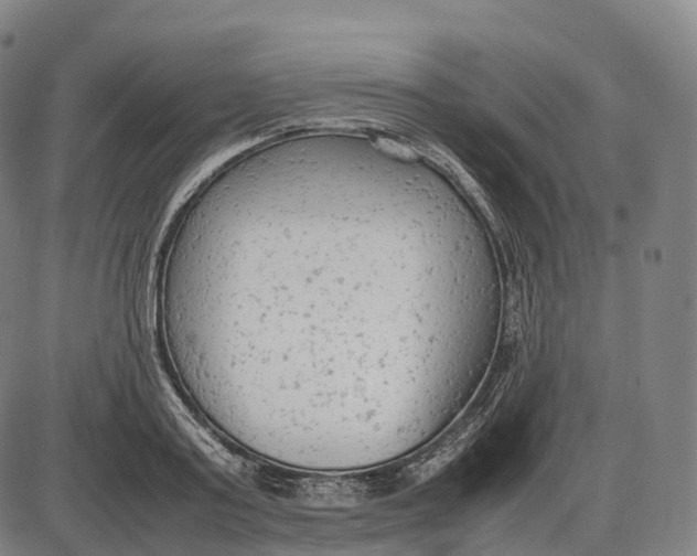 X0000085010795200703261153