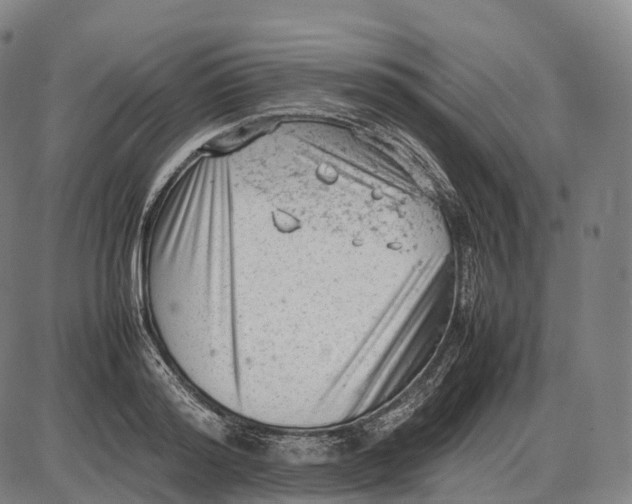 X0000085010796200703261153