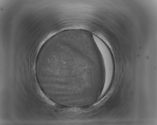 X0000085010797200703261153