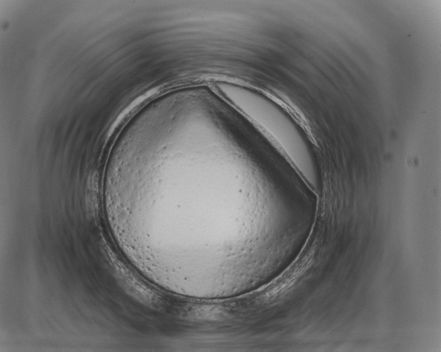 X0000085010798200703261153