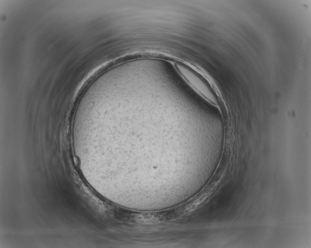 X0000085010799200703261153