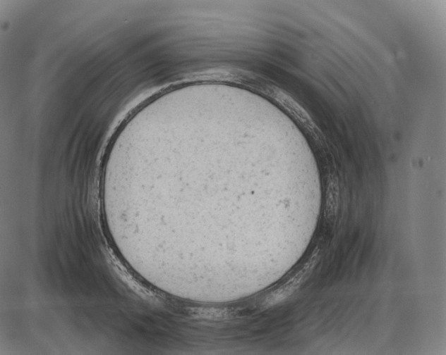 X0000085010800200703261153