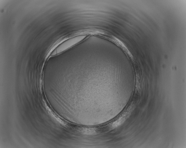 X0000085010802200703261153