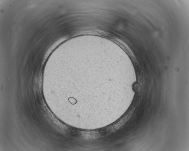 X0000085010804200703261153