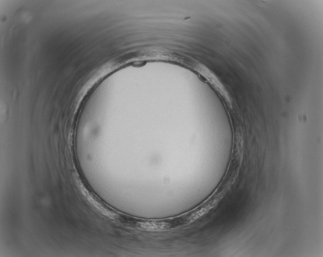 X0000085010805200703261153