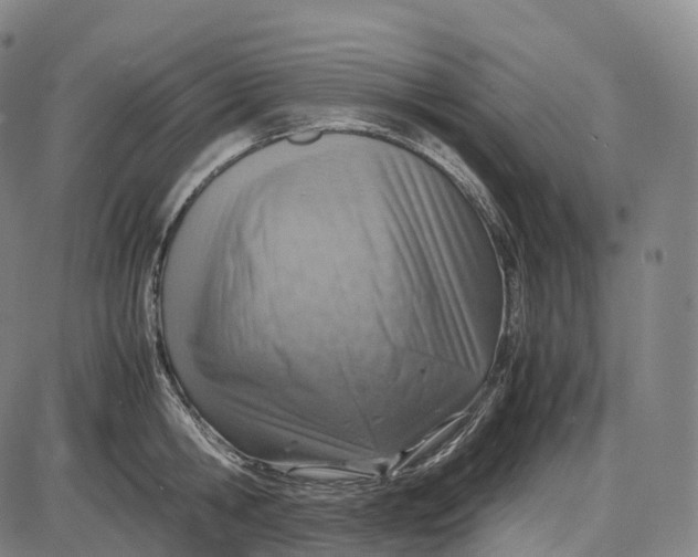 X0000085010806200703261153