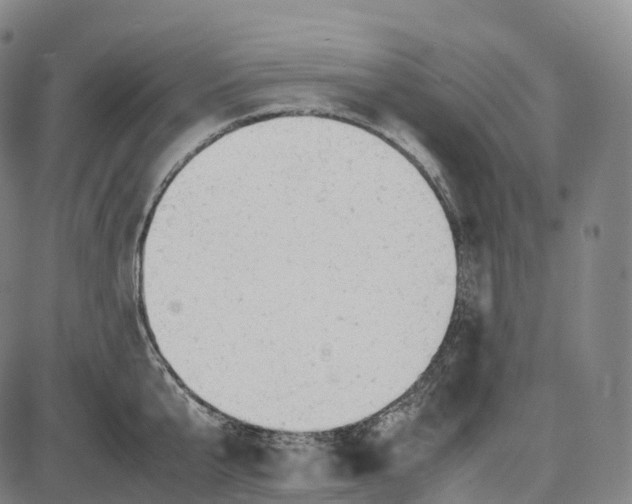 X0000085010807200703261153