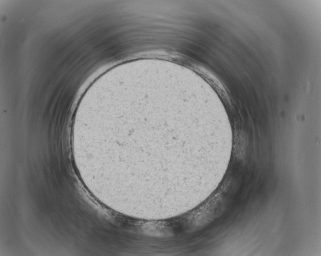 X0000085010808200703261153