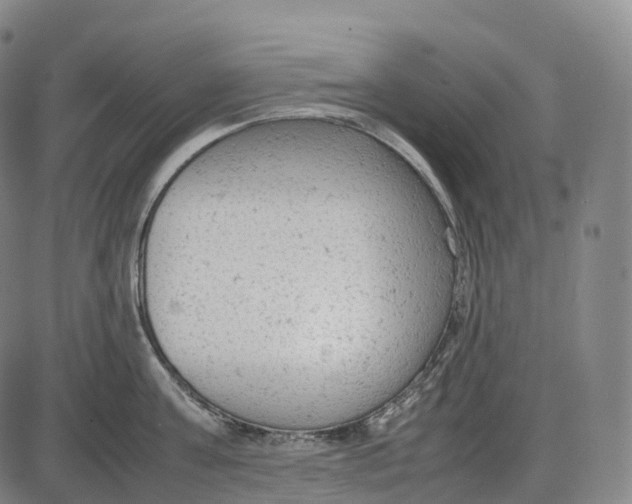 X0000085010811200703261153